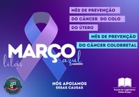 💜💙Março Lilás e Azul Marinho💙💜